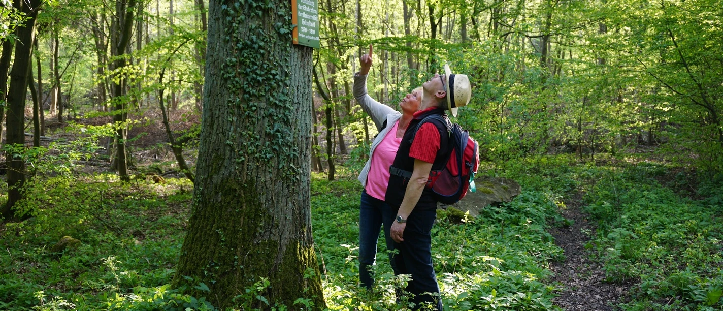 „Adam und Eva“ - Duellplatz der Studenten
