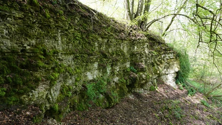 Ampleber Kuhlen
