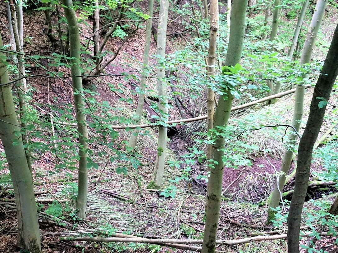 Bachschwinde in der Teufelsküche