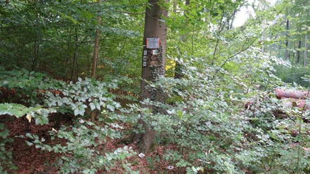 Wegpunkt Breite Berg