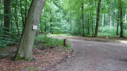 Wegpunkt Eichengrund
