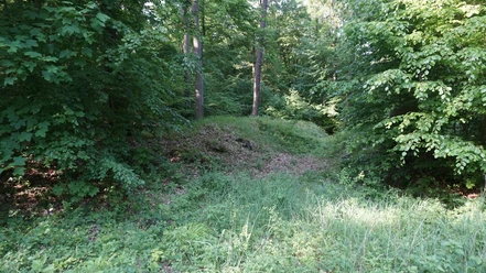Helmstedter Landwehr