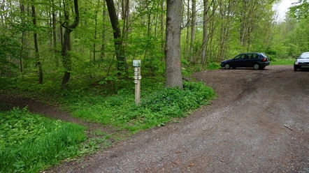 Wegpunkt Langeleber Pfahl
