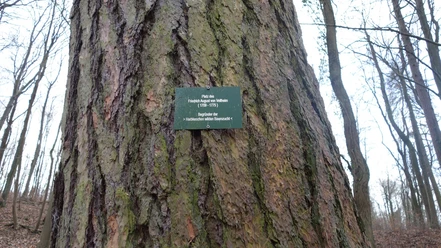 Platz des Friedrich August von Veltheim