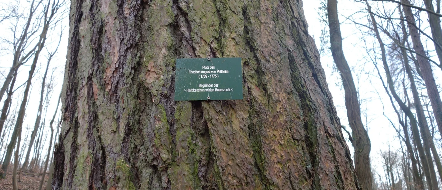 Platz des Friedrich August von Veltheim