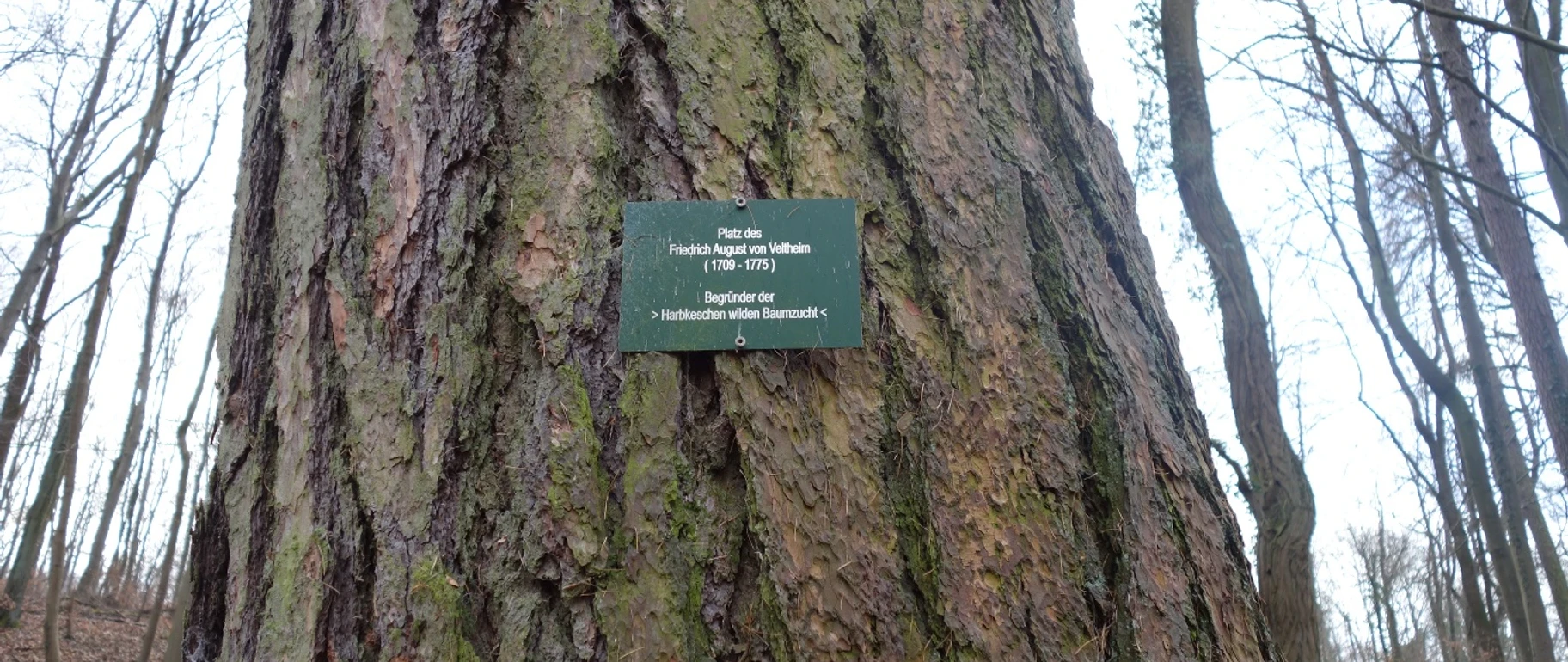 Platz des Friedrich August von Veltheim