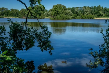 Kreuzteich