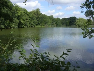 Mittelteich