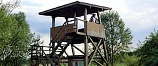 Aussichtsturm Uhraumündung