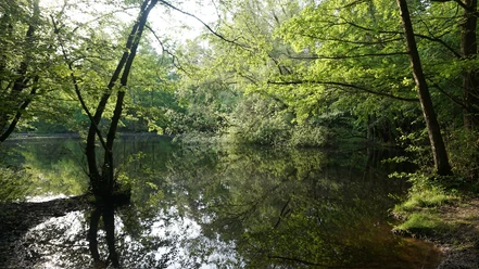 Alte Tonkuhle