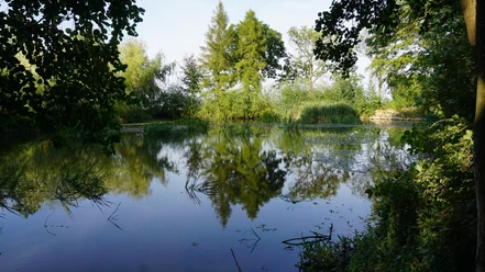 Bornteich
