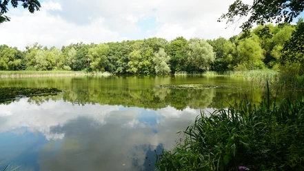 Himmelsteich