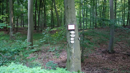 Wegpunkt Hundertdahlerslok