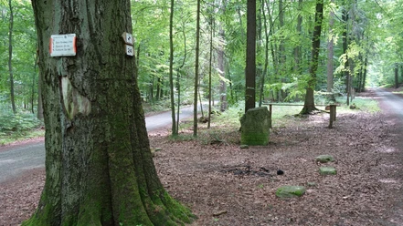 Kreuzquelle