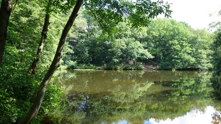 Birkerteich