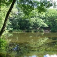 Birkerteich