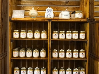 Korn- und Senfmühle Blumenhagen