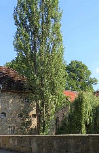 Wasserburg Veltheim und St. Remigius