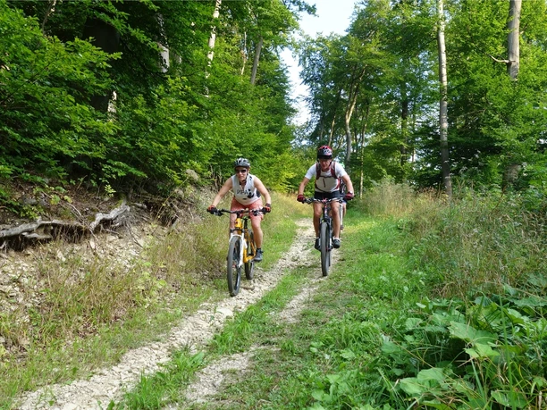 Abfahrt ins Luttertal