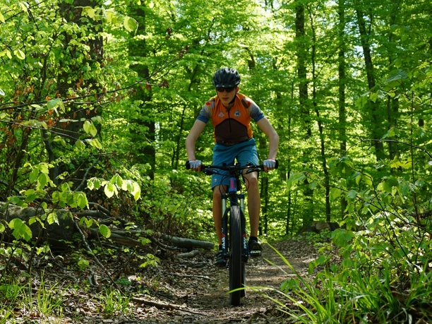 Trail zurück nach Warberg