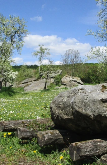 Baustelle Großsteingrab Bockshornklippe