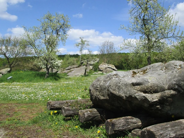 Baustelle Großsteingrab Bockshornklippe