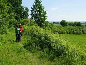 Am Dormrand entlang zum Großsteingrab