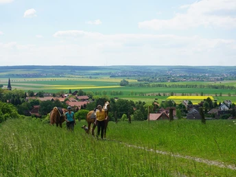 Blick vom Aussichtspunkt Heineberg auf Gr. Steinum