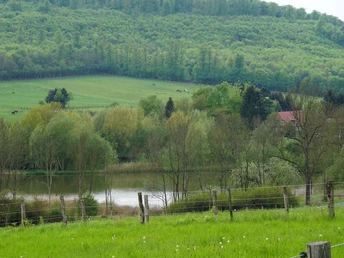 Blick ins Reitlingstal