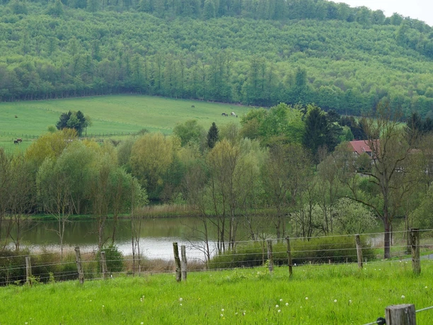 Blick ins Reitlingstal