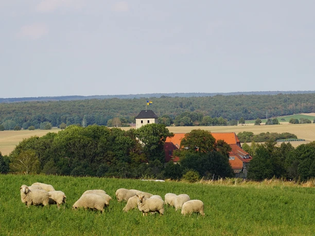 Blick auf die Burg warberg
