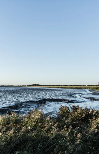 Landschaftsaufnahme Glückstadt