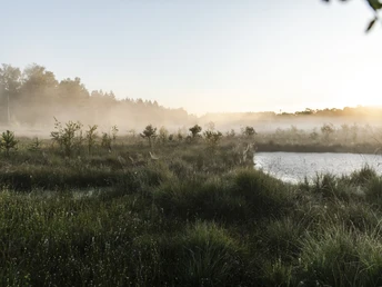 Naturschutzgebiet Katenmoor