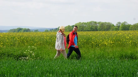 Auf dem Rückweg nach Mariental-Horst