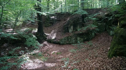 Räuberhöhle Harbke
