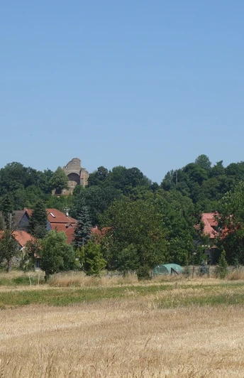 Blick auf Walbeck und die Ruine Stiftskirche St. Marien