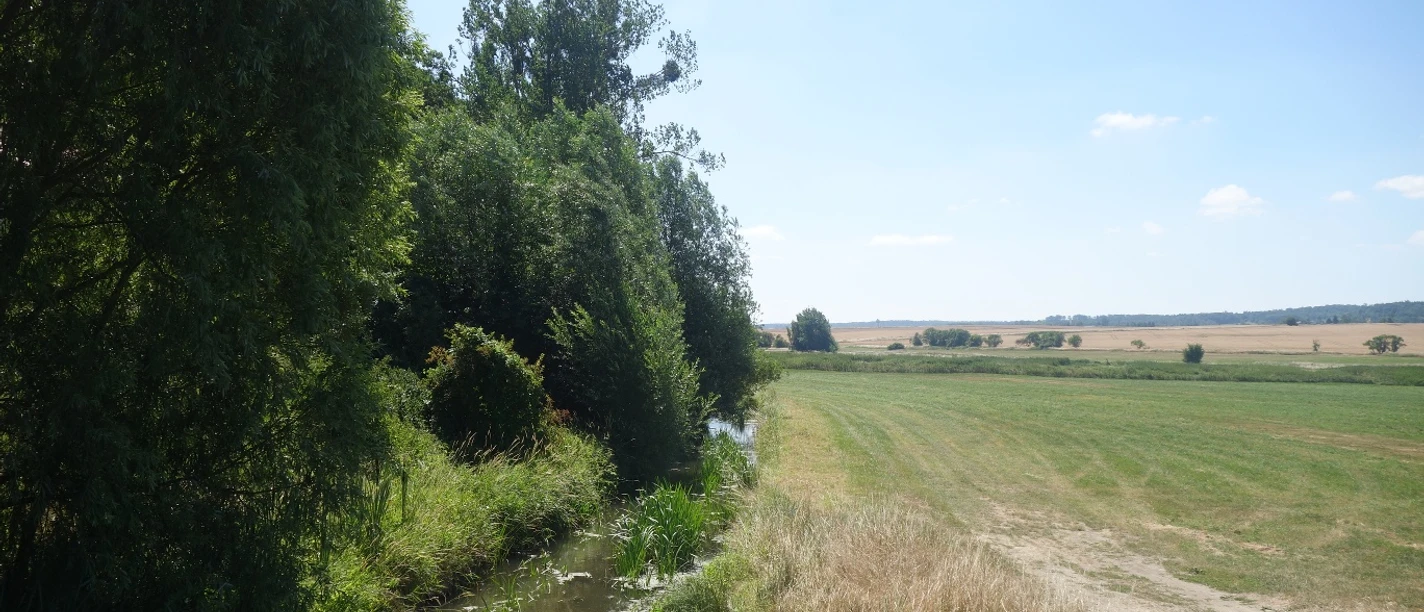 Die Aller am Försterhof