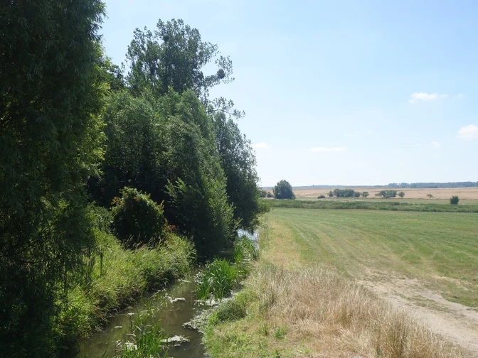 Die Aller am Försterhof