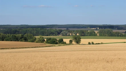 Blick ins Allertal