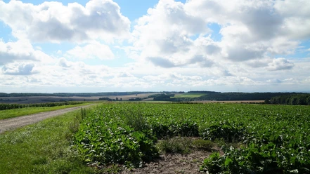 Blick vom Rodenberg