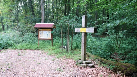Heidberg