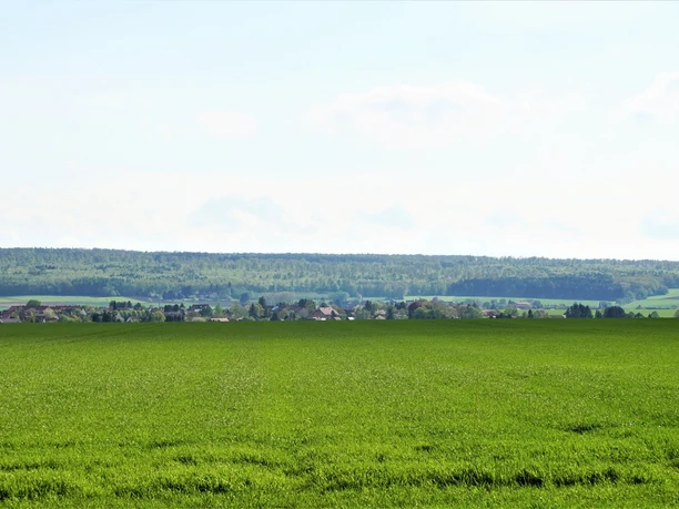 Blick über Wolsdorf zum Elm