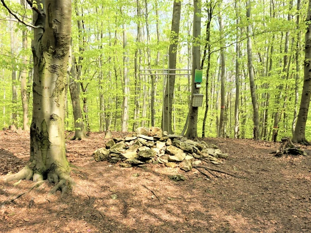 Gipfelkreuz auf dem Eilumer Horn