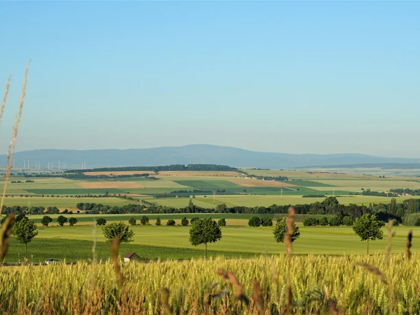 Blick auf Heeseberg und Brocken