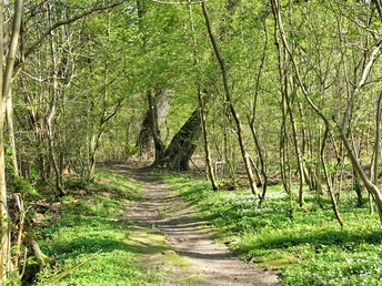 Durch die Teufelsküche zur Schunterquelle