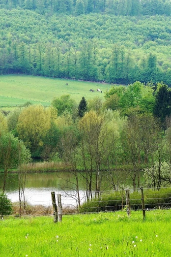 Reitlingstal mit Großem Teich