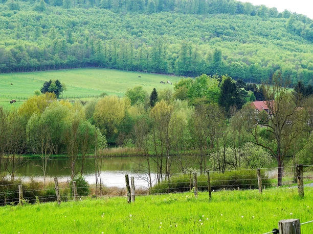Reitlingstal mit Großem Teich