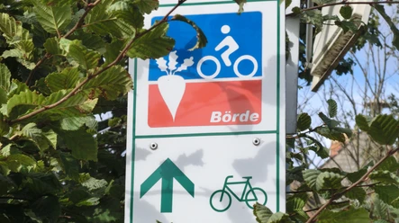 Auf dem Börde-Radweg