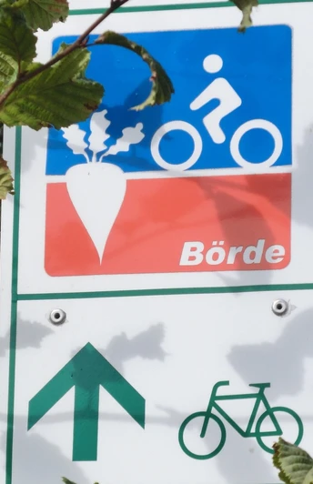 Auf dem Börde-Radweg