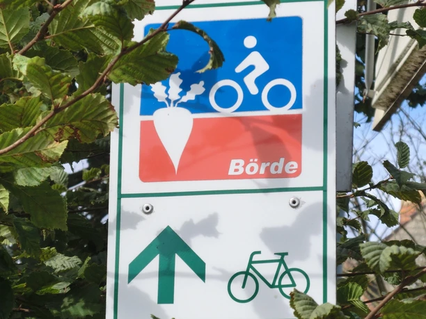 Auf dem Börde-Radweg